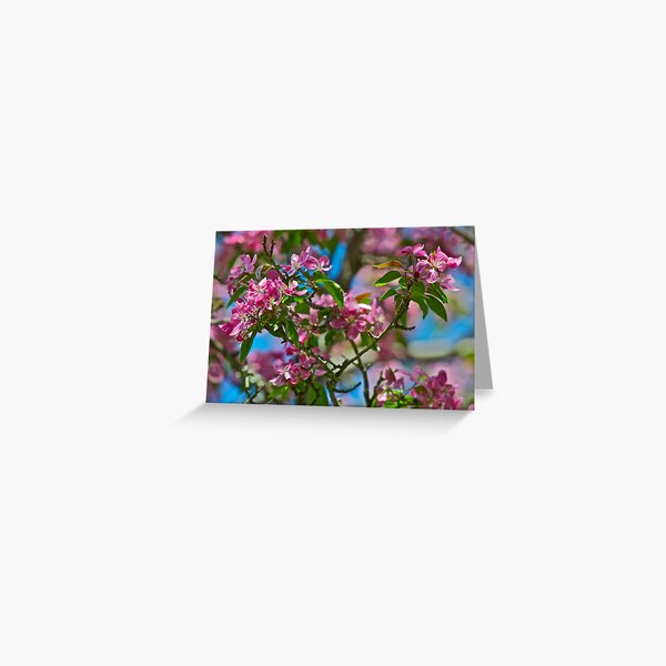 Item preview, Pink Crabapple 8 designed and sold by Carolyn Clark.