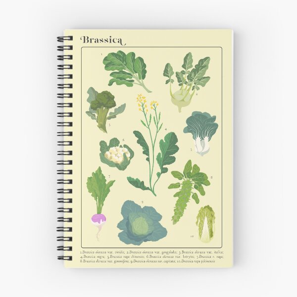 Item preview, Brassica designed and sold by GreyFawnArt.
