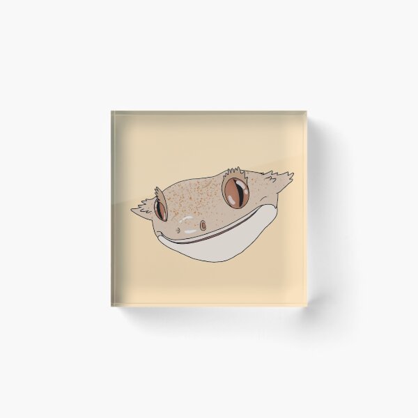 Item preview, Pretty Crested Gecko designed and sold by MasonsTinyPets.