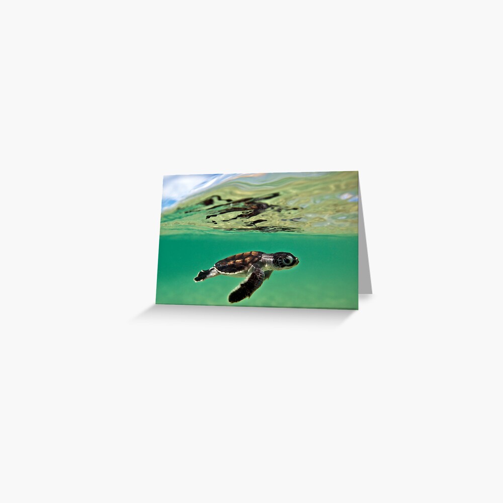 Long-distance swimmer Greeting Card