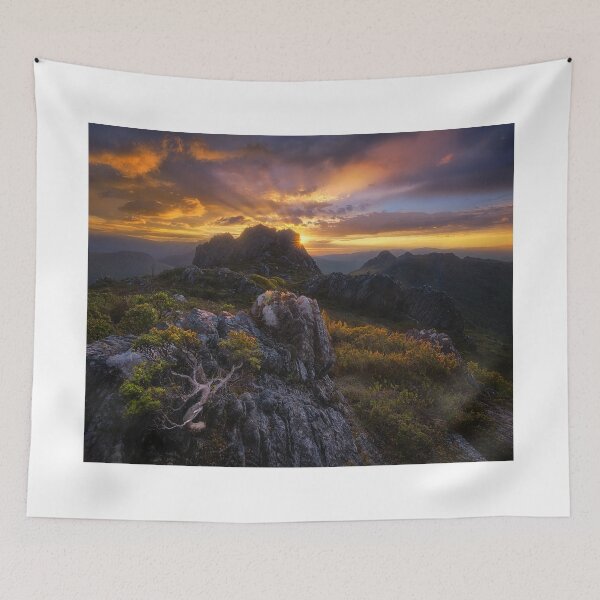 Item preview, Morning Glory designed and sold by Tim Clark.