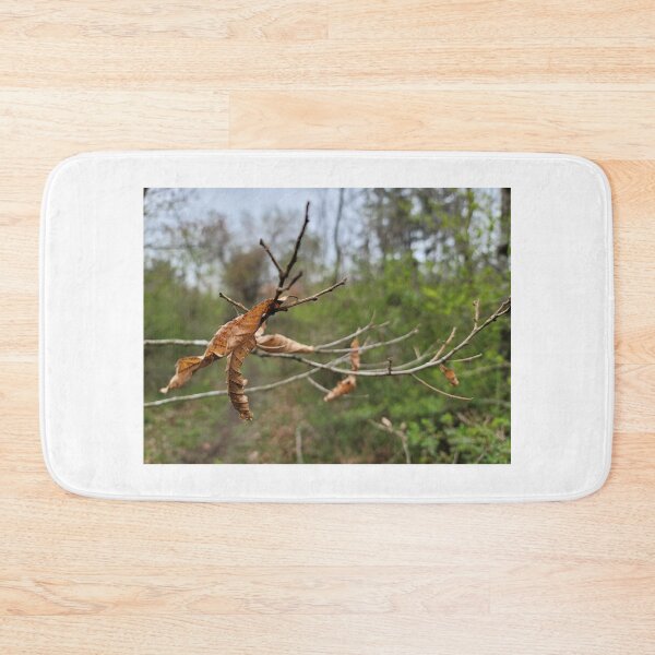 Item preview, Taking a picture being pulled by the branches and leaves that make you feel autumn fallen leaves while picking bracken in spring. Jeju Island, Korea. designed and sold by human8891.