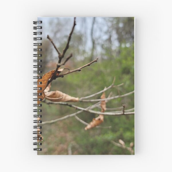 Item preview, Taking a picture being pulled by the branches and leaves that make you feel autumn fallen leaves while picking bracken in spring. Jeju Island, Korea. designed and sold by human8891.