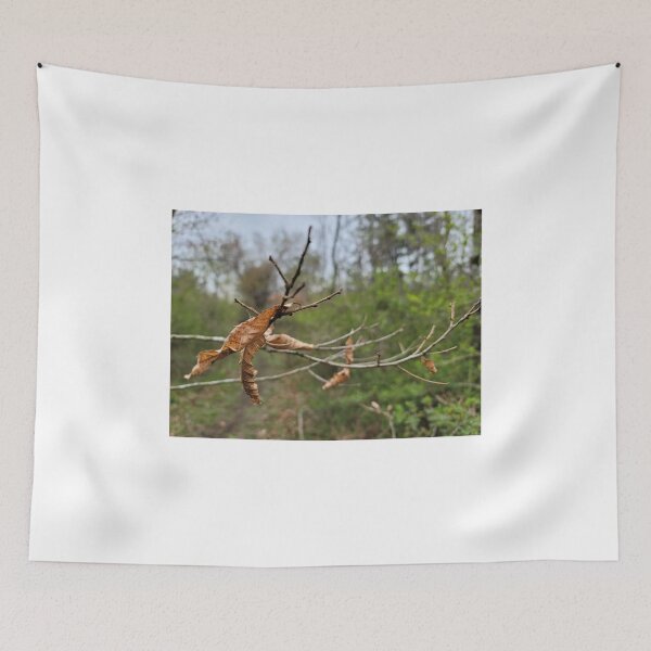 Item preview, Taking a picture being pulled by the branches and leaves that make you feel autumn fallen leaves while picking bracken in spring. Jeju Island, Korea. designed and sold by human8891.