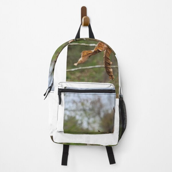 Item preview, Taking a picture being pulled by the branches and leaves that make you feel autumn fallen leaves while picking bracken in spring. Jeju Island, Korea. designed and sold by human8891.