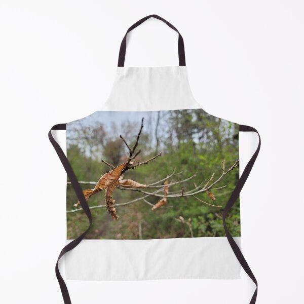 Item preview, Taking a picture being pulled by the branches and leaves that make you feel autumn fallen leaves while picking bracken in spring. Jeju Island, Korea. designed and sold by human8891.