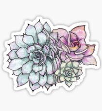 Succulove Sticker