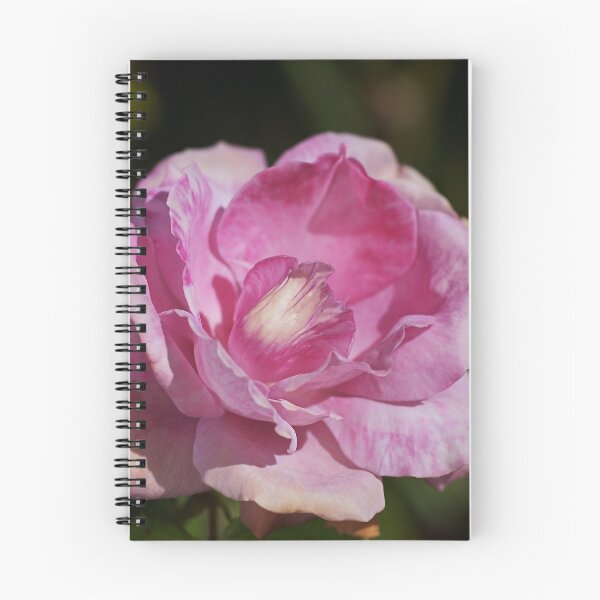 Item preview, Lorraine Lee Rose Pink designed and sold by Joy Watson - Natural Light Photography .
