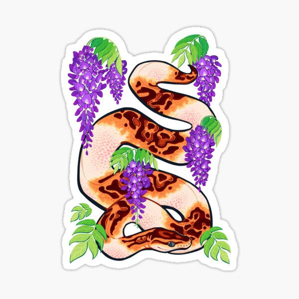 Item preview, Wisteria ball python designed and sold by Colordrilos.