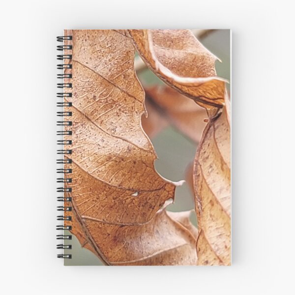 Item preview,  Taking a picture being pulled by the leaves that make you feel autumn fallen leaves while picking bracken in spring. Jeju Island, Korea. designed and sold by human8891.