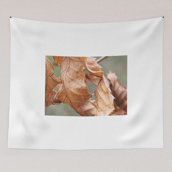 Item preview,  Taking a picture being pulled by the leaves that make you feel autumn fallen leaves while picking bracken in spring. Jeju Island, Korea. designed and sold by human8891.