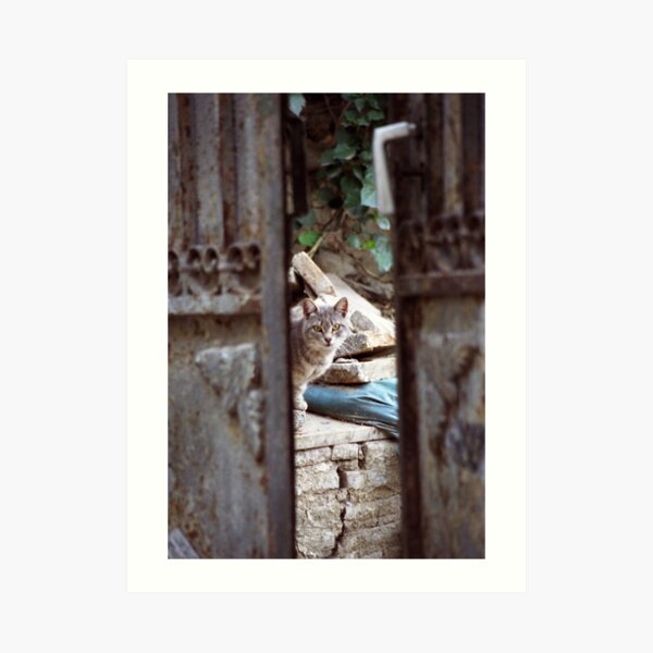 Art Print