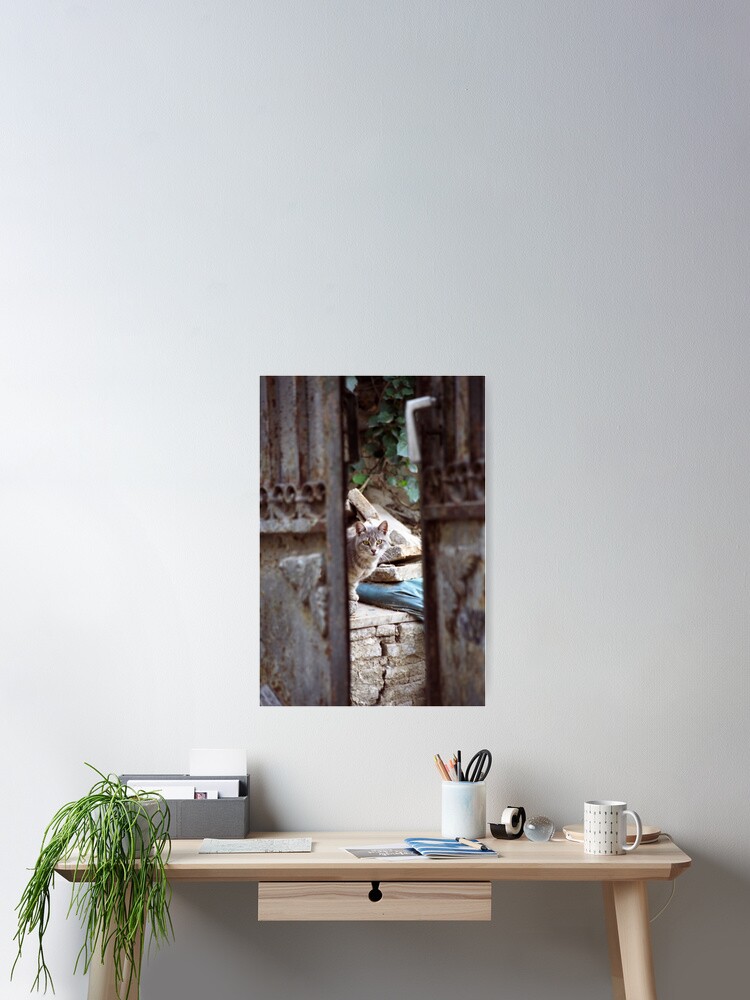 Thumbnail 1 of 3, Poster, I See You designed and sold by Tiffany Dryburgh.