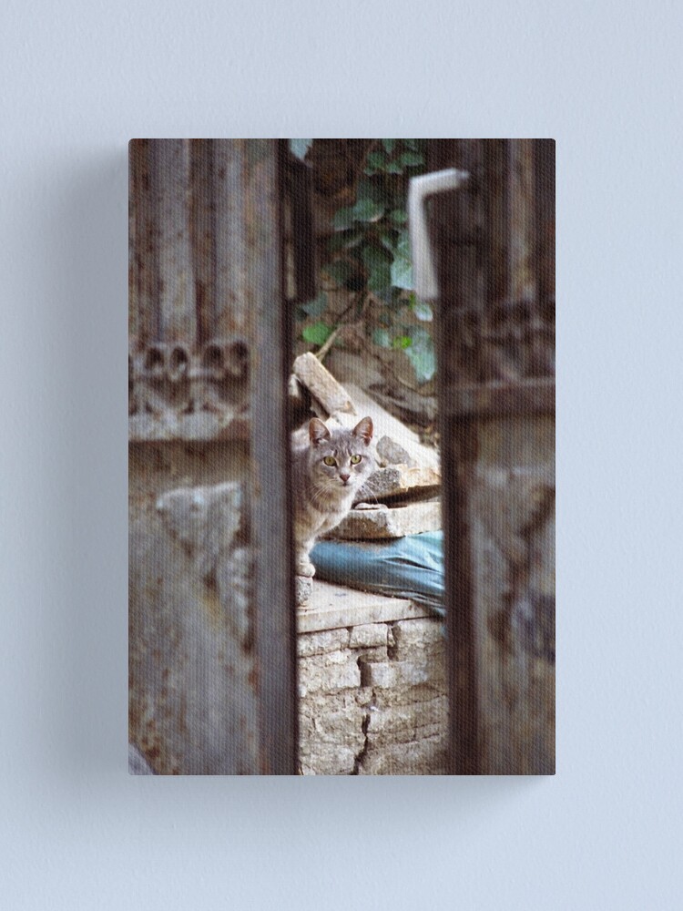 Thumbnail 2 of 3, Canvas Print, I See You designed and sold by Tiffany Dryburgh.
