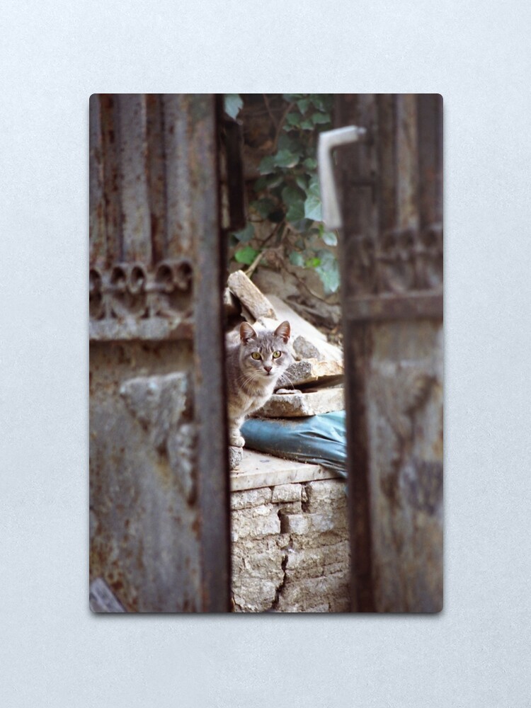 Alternate view of I See You Metal Print