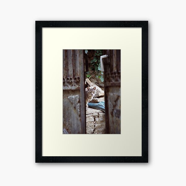 Framed Art Print