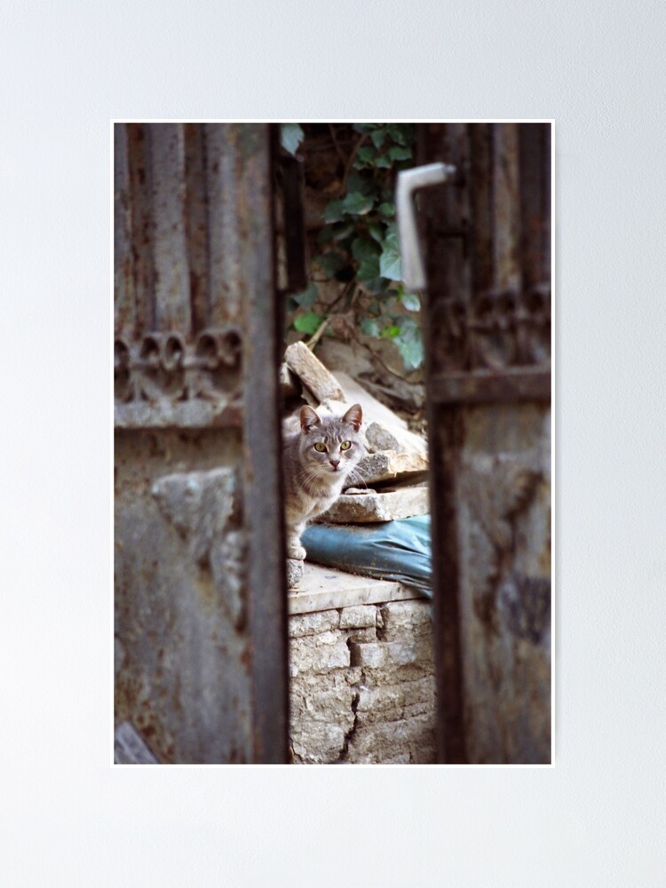 Thumbnail 2 of 3, Poster, I See You designed and sold by Tiffany Dryburgh.