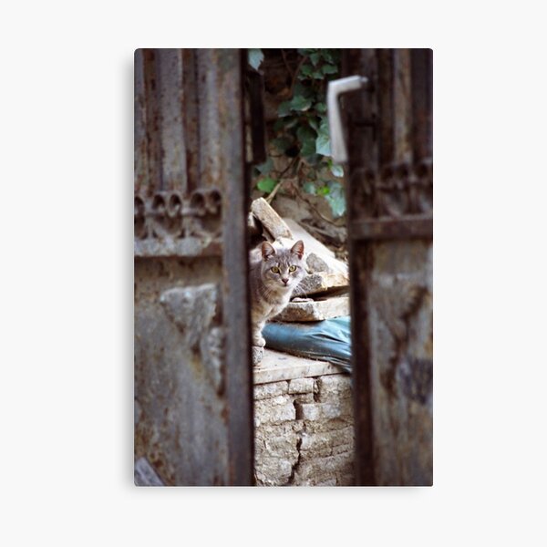 Canvas Print