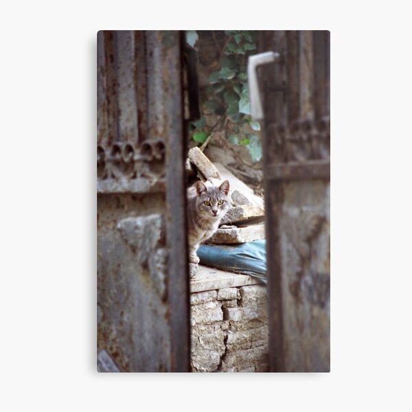Metal Print