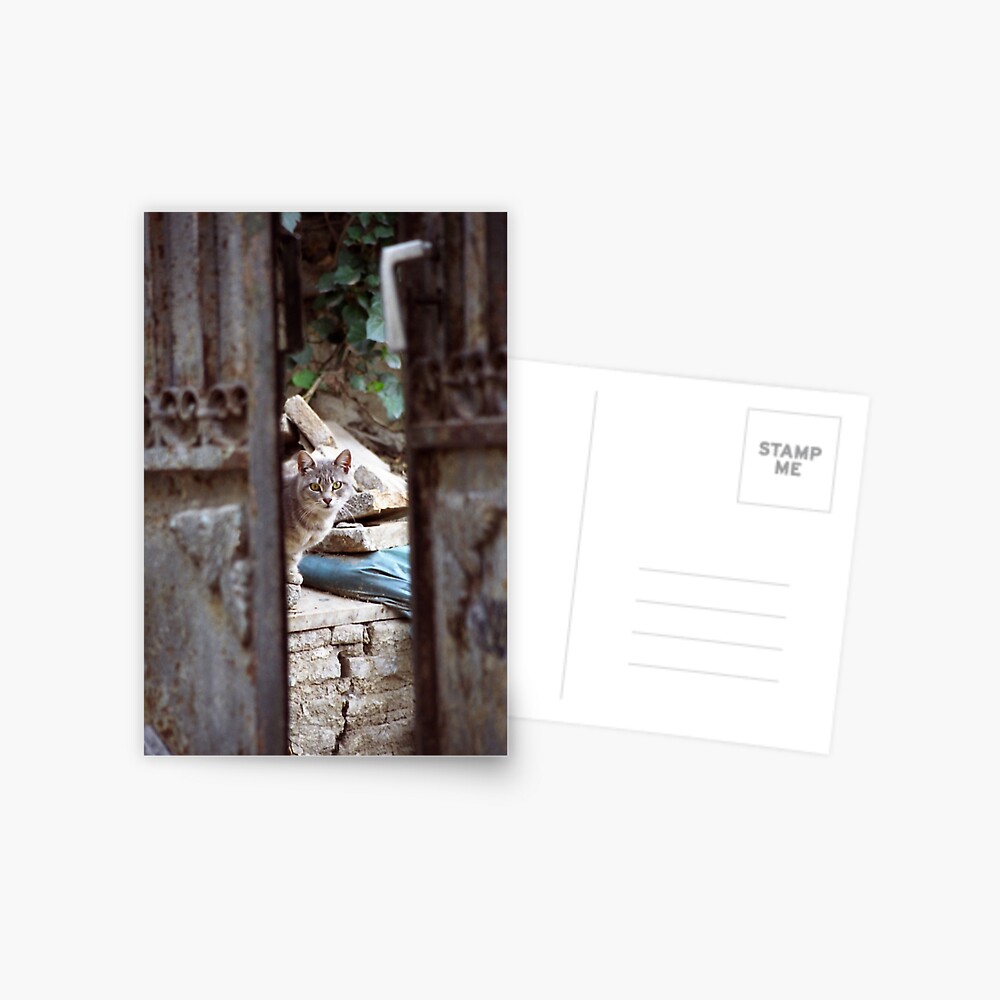 Item preview, Postcard designed and sold by Tiffany.