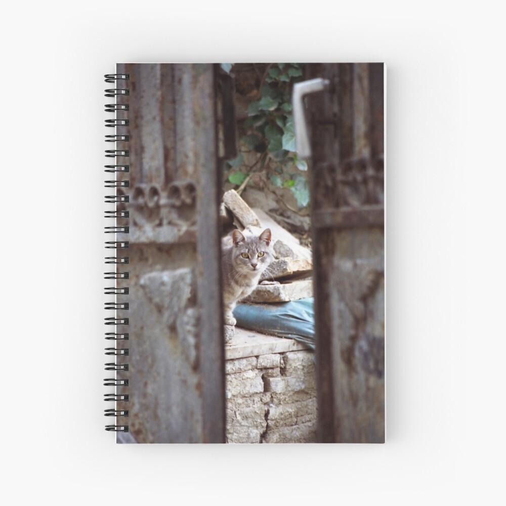 Item preview, Spiral Notebook designed and sold by Tiffany.