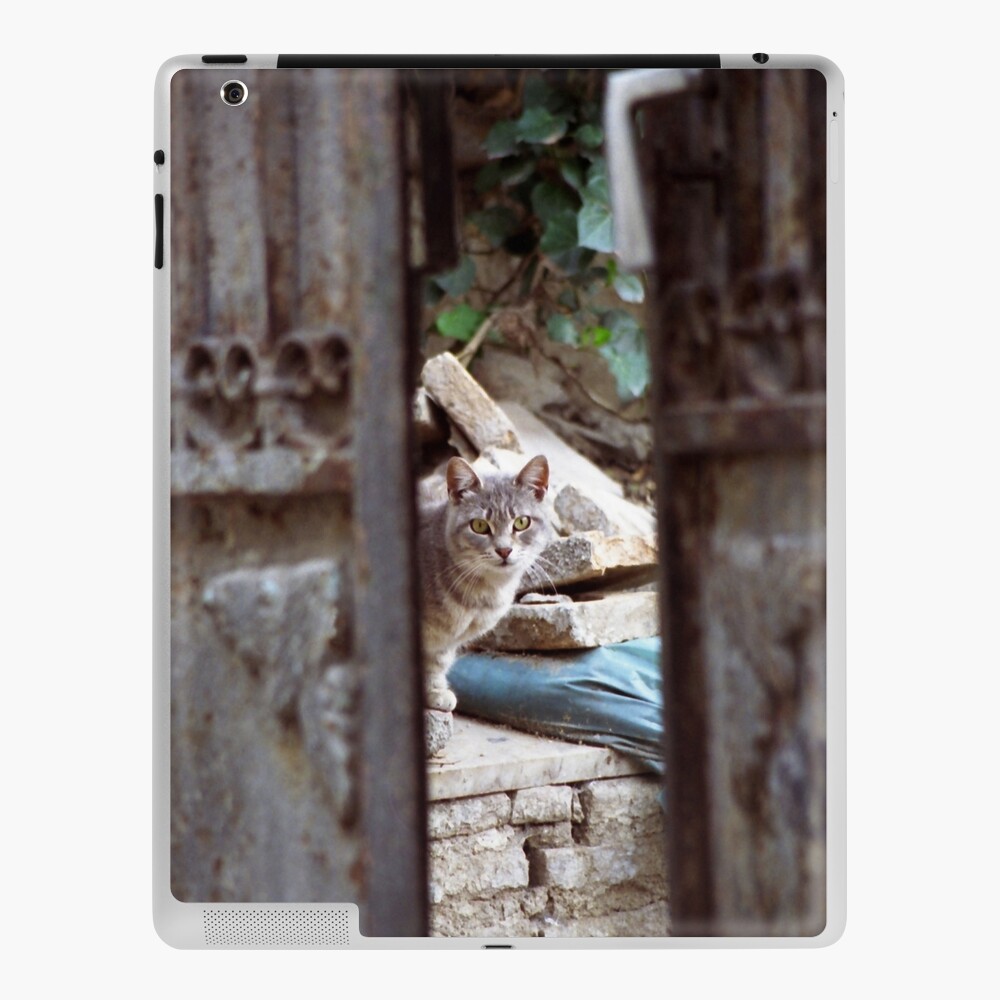 Item preview, iPad Skin designed and sold by Tiffany.