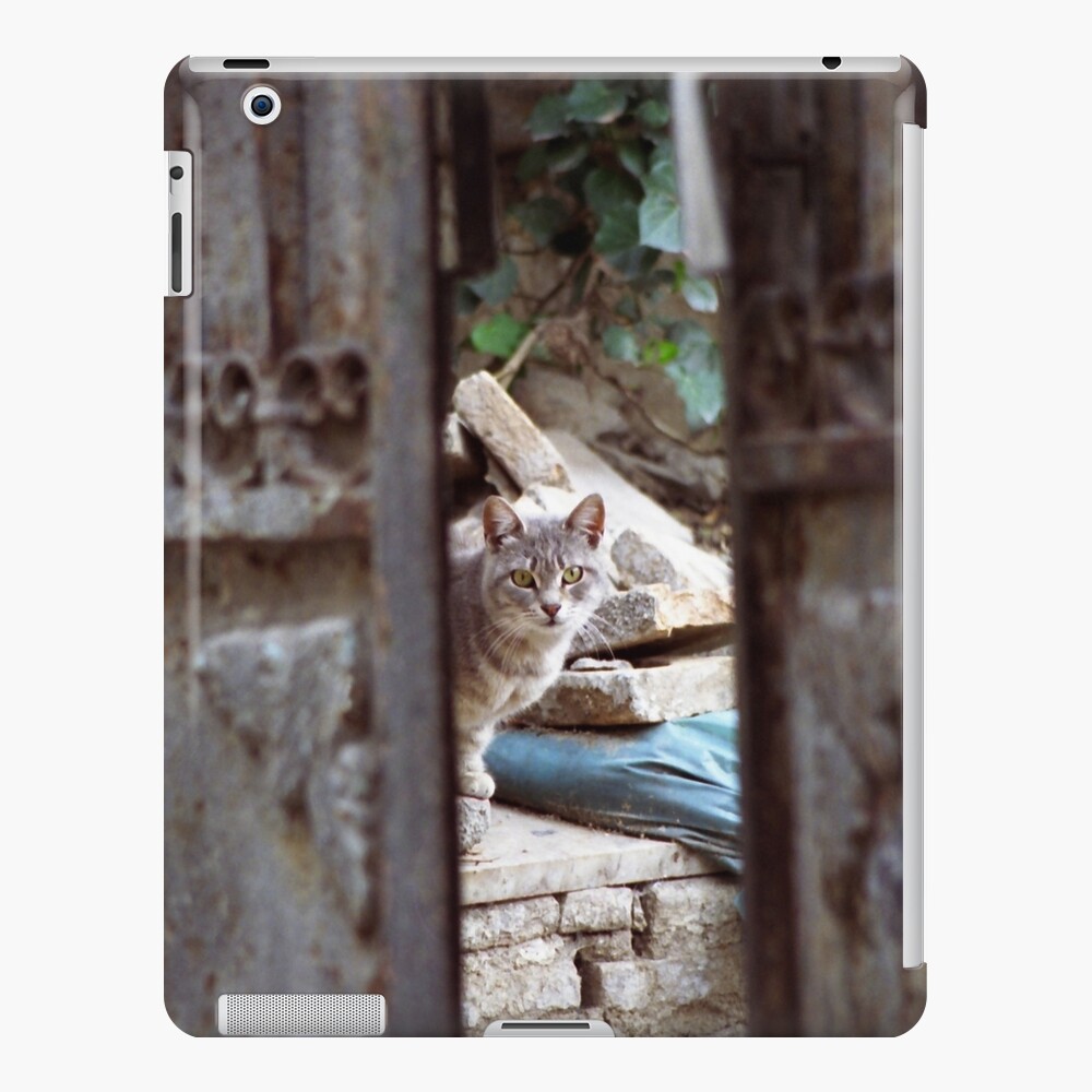 Item preview, iPad Snap Case designed and sold by Tiffany.