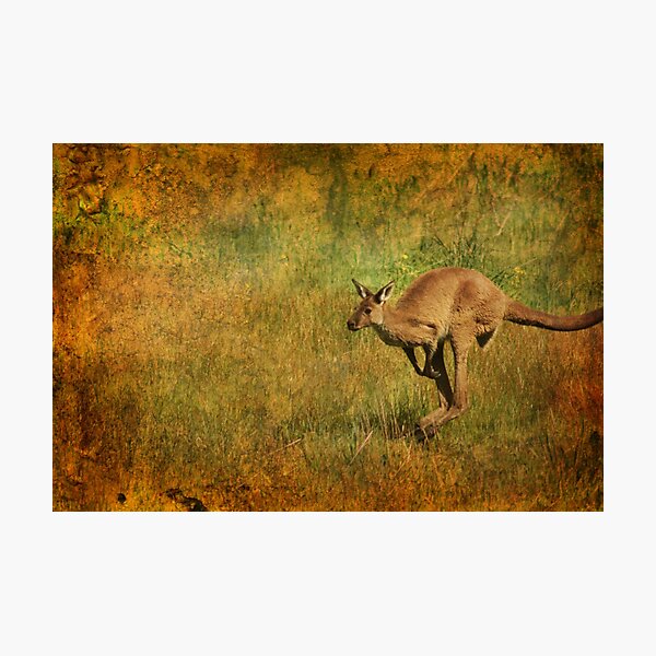 Australia Photographic Print