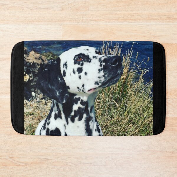 Item preview, DALMATIAN BY THE SEA | black and white spotty dog by the ocean designed and sold by Le Plus Three.