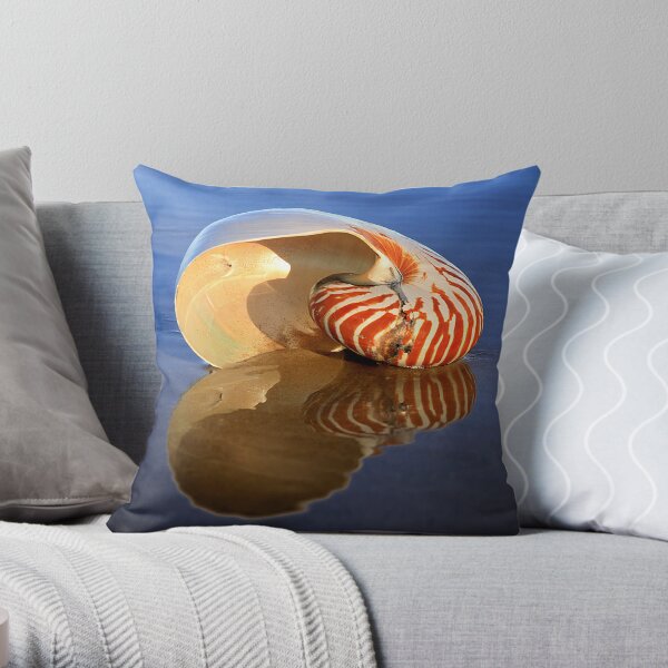 Washed Up Pillow and Tote Throw Pillow