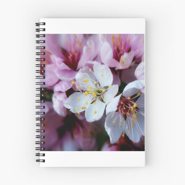 Item preview, Spring Explosion designed and sold by julesthomas.