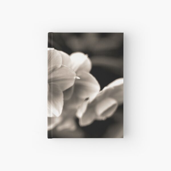 Hope Hardcover Journal