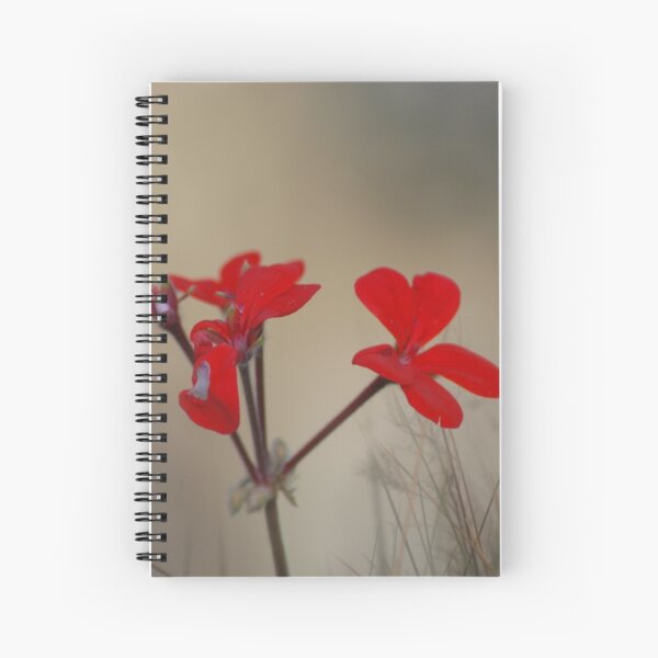 Amongst the Fog Spiral Notebook