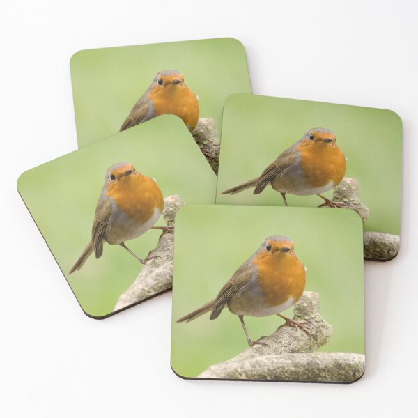 Item preview, Robin  designed and sold by ollygriffin.