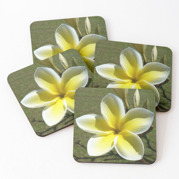 Artikelvorschau, wunderschöne gelbe Frangipani entworfen und verkauft von KaSaPo.