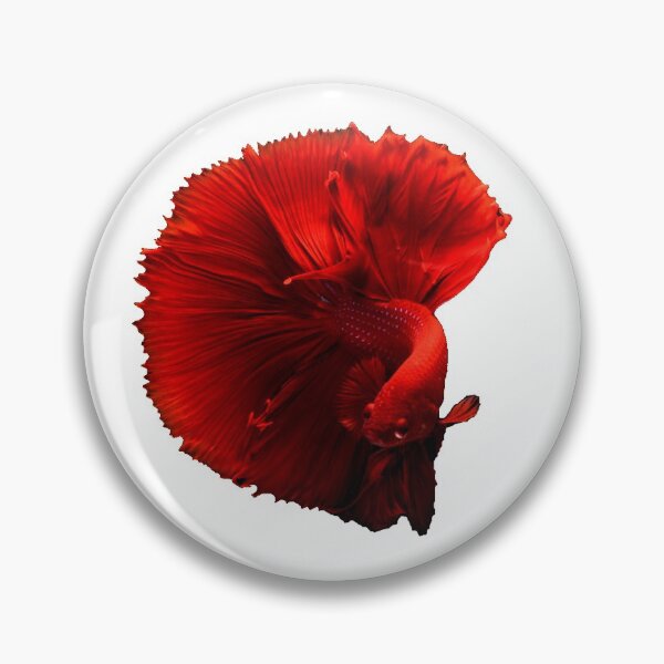 Item preview, BETTA DAYS ARE HERE TO STAY designed and sold by WokeWords.
