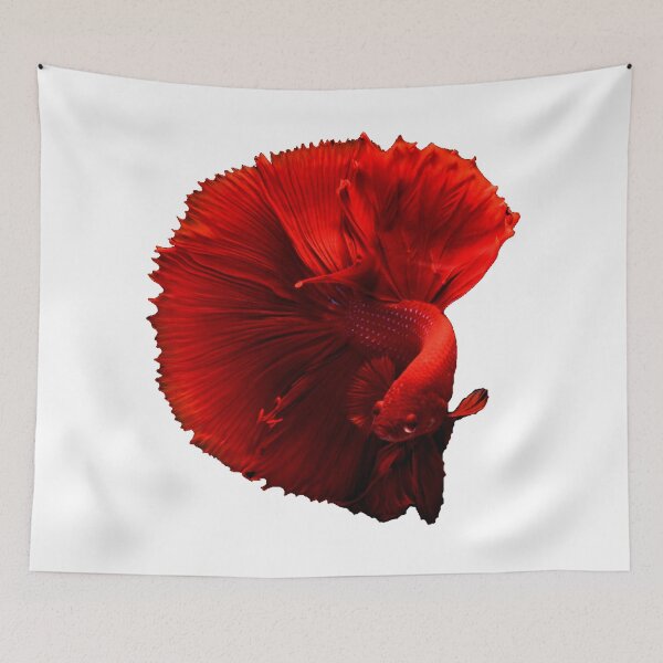 Item preview, BETTA DAYS ARE HERE TO STAY designed and sold by WokeWords.