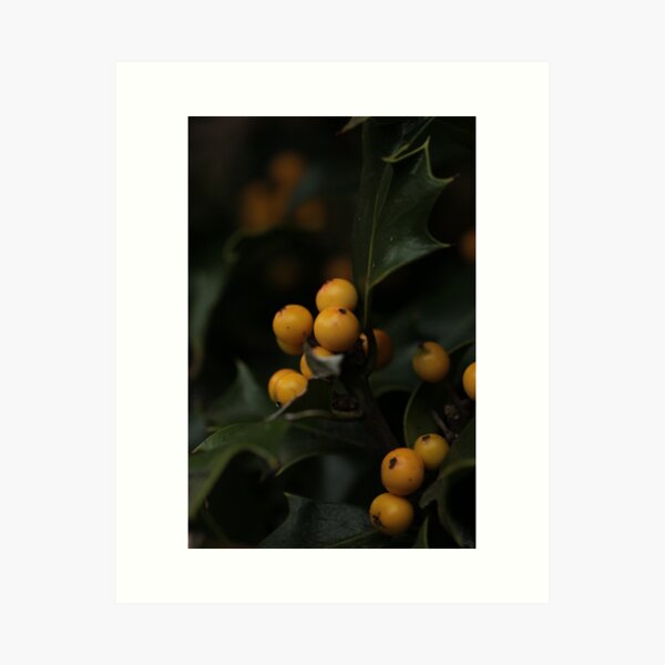 Item preview, MM 1 designed and sold by beeden.