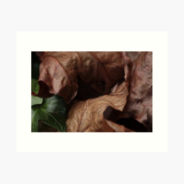 Item preview, MM 3 designed and sold by beeden.