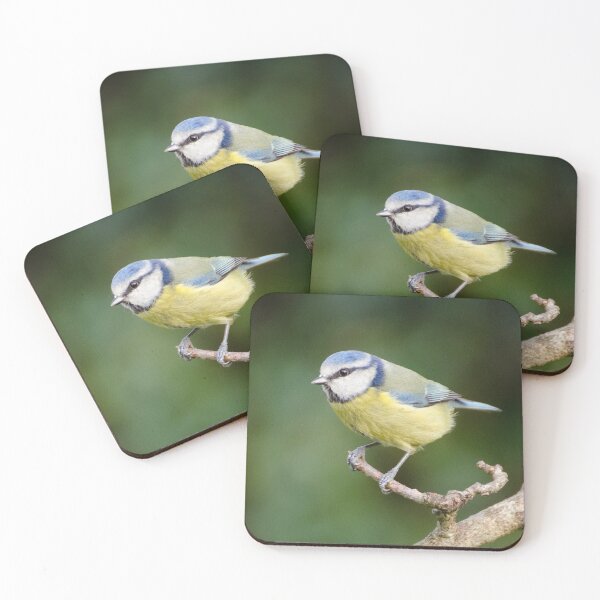 Item preview, Blue Tit  designed and sold by ollygriffin.