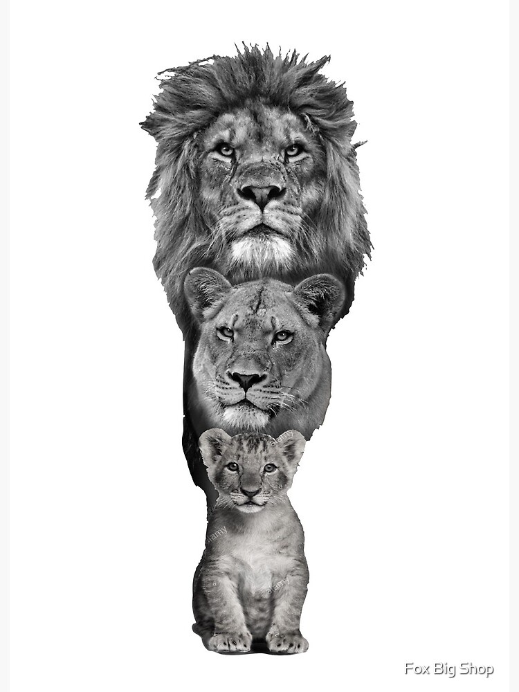 Lámina rígida «Familia de leones» de DMV317 | Redbubble