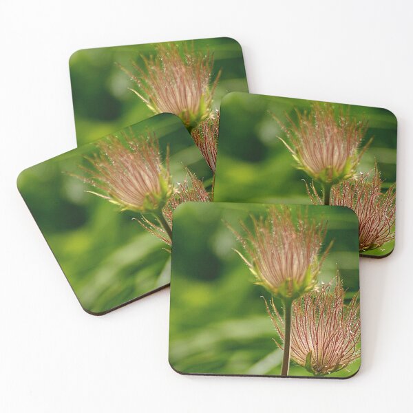 Item preview, Alpine anemones designed and sold by lysiely.