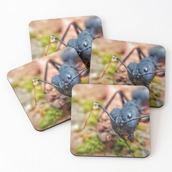 Item preview, black ant designed and sold by AmigurumiShop.