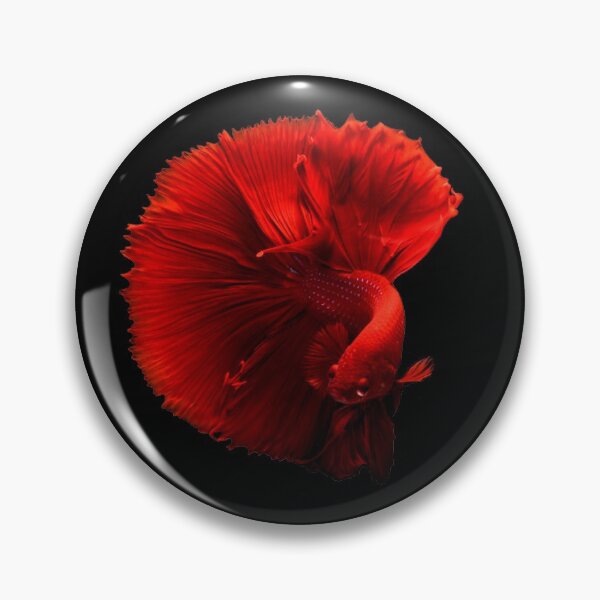 Item preview, BETTA DAYS ARE HERE TO STAY designed and sold by WokeWords.