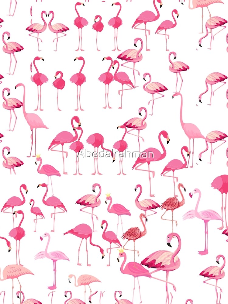 Party of flamingo  by Abedalrahman