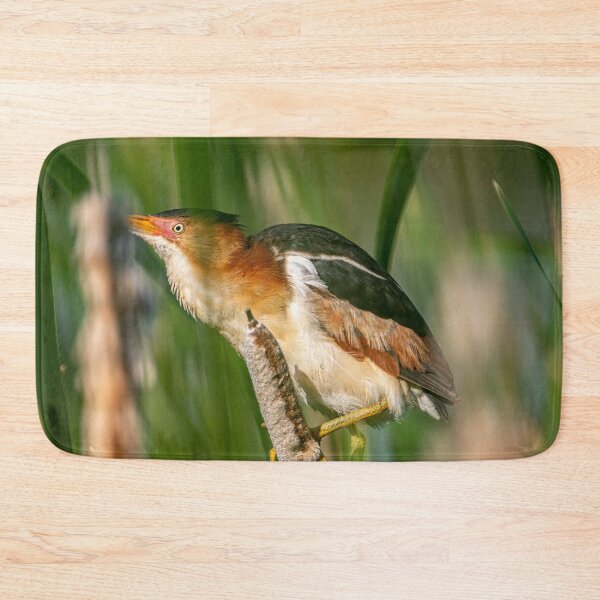 Item preview, Least bittern On Cattail designed and sold by Michael Cummings.