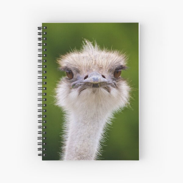 EXOTIC ~ RATITE ~ Ostrich ABft23Ft by David Irwin Spiral Notebook