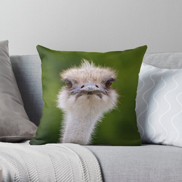 EXOTIC ~ RATITE ~ Ostrich ABft23Ft by David Irwin Throw Pillow
