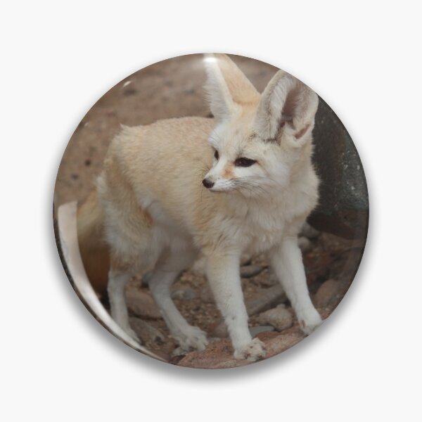 Item preview,  egyptian cute sand fox  designed and sold by josephfanous.