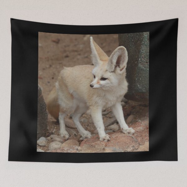 Item preview,  egyptian cute sand fox  designed and sold by josephfanous.